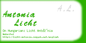 antonia licht business card